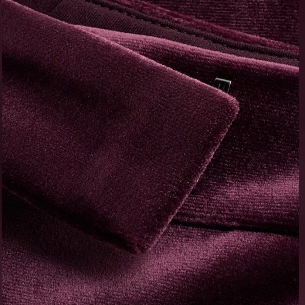 EXPRESS: Mid-Rise Velvet Relaxed Trousers - Picture 7 of 10
